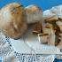 Як приготувати гриби зі сметаною?