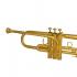 Sapņu interpretācija Trompete, kāpēc jūs sapņojat par trompeti